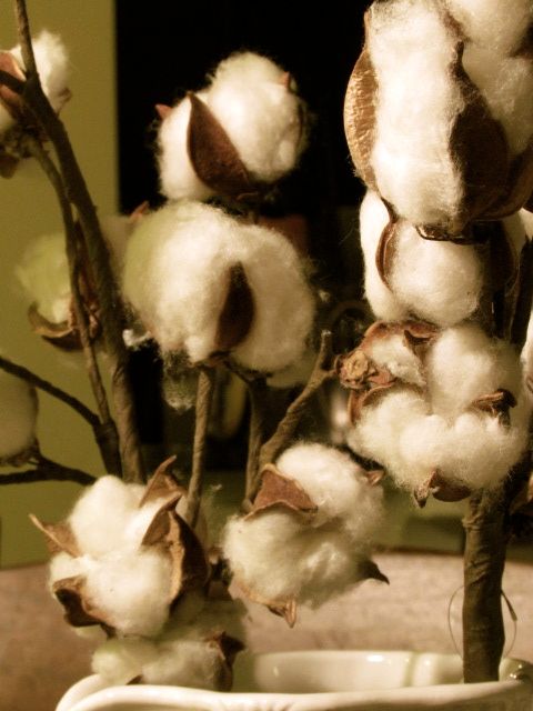 Cotton Decor