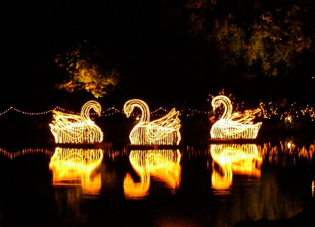 Bellingrath Gardens' Magic Christmas in Lights