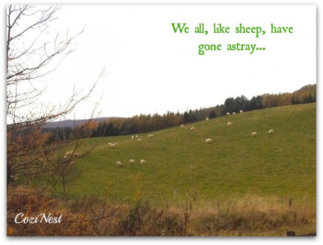 We All Like Sheep.jpg