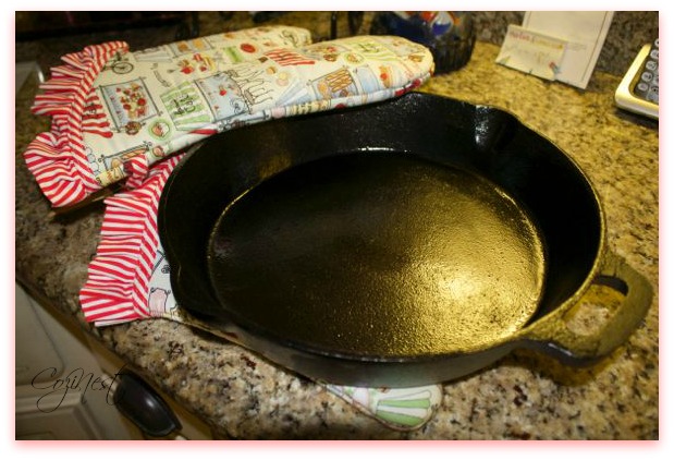 Oven Mitts with Skillet