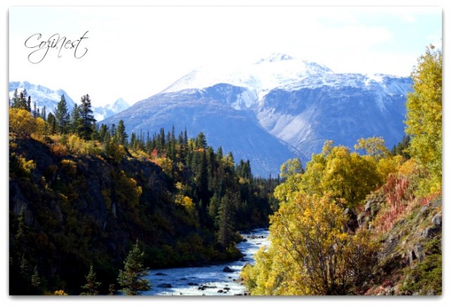 Landscape Yukon