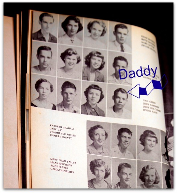 Daddy's Yearbook