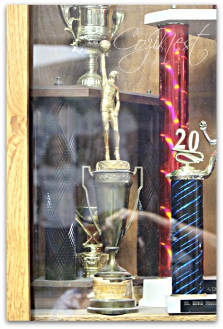 District Trophy