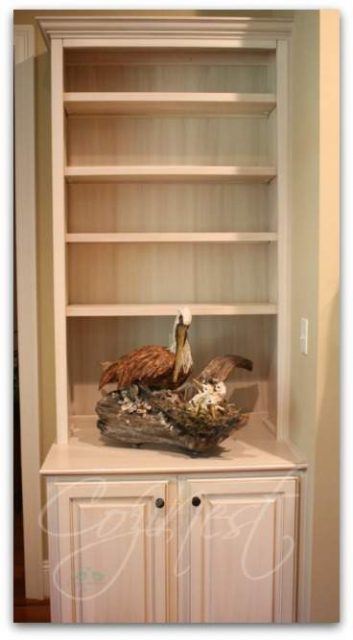 bookcase with pelican