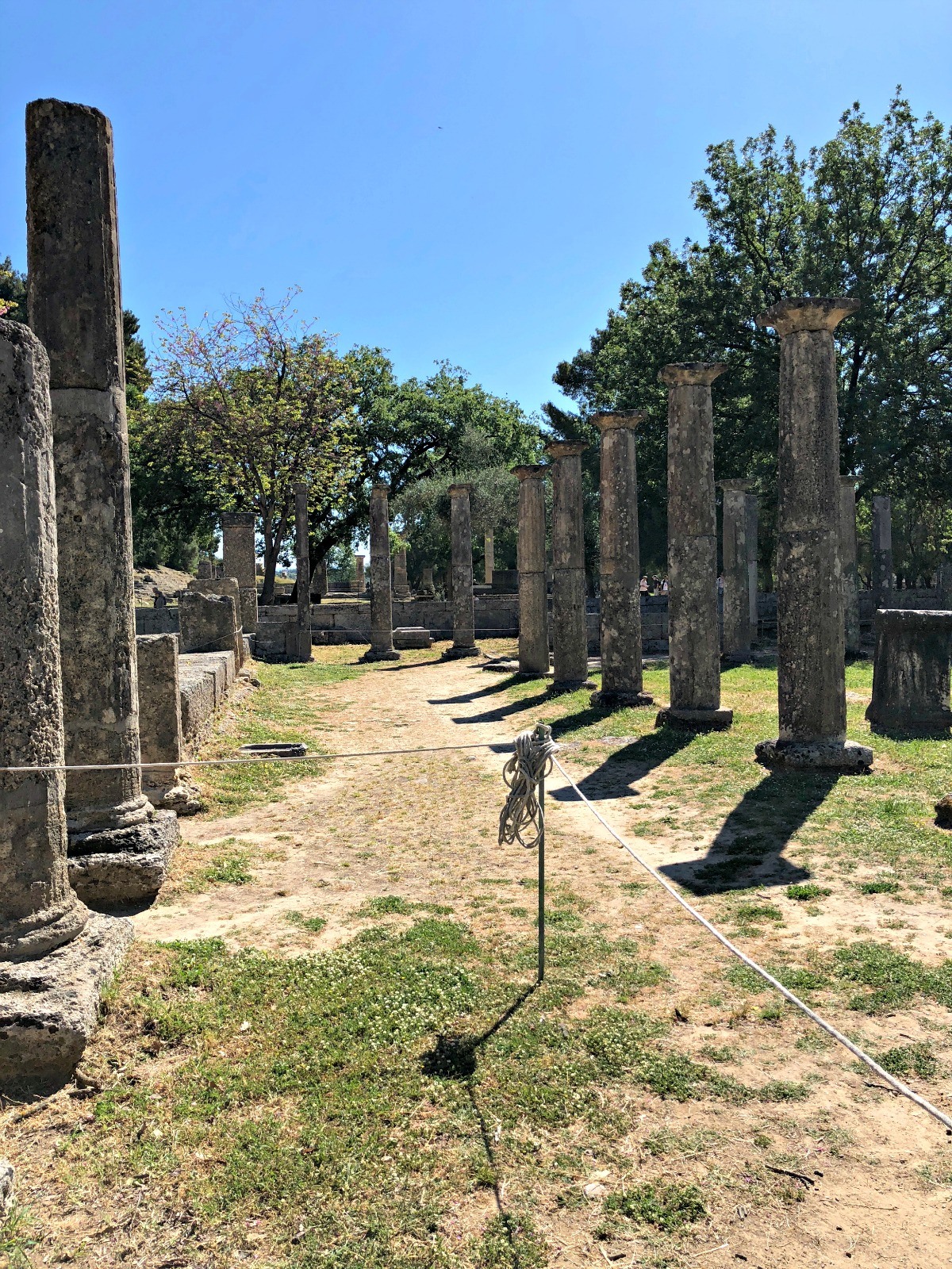 Rows of Columns