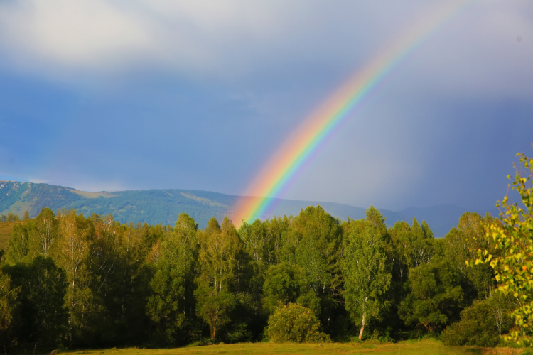 rainbow a sign of promise